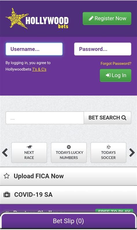 hollywoodbets login my account sign in south africa